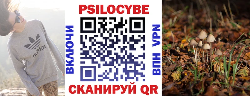 Псилоцибиновые грибы прущие грибы  как найти   Воронеж 