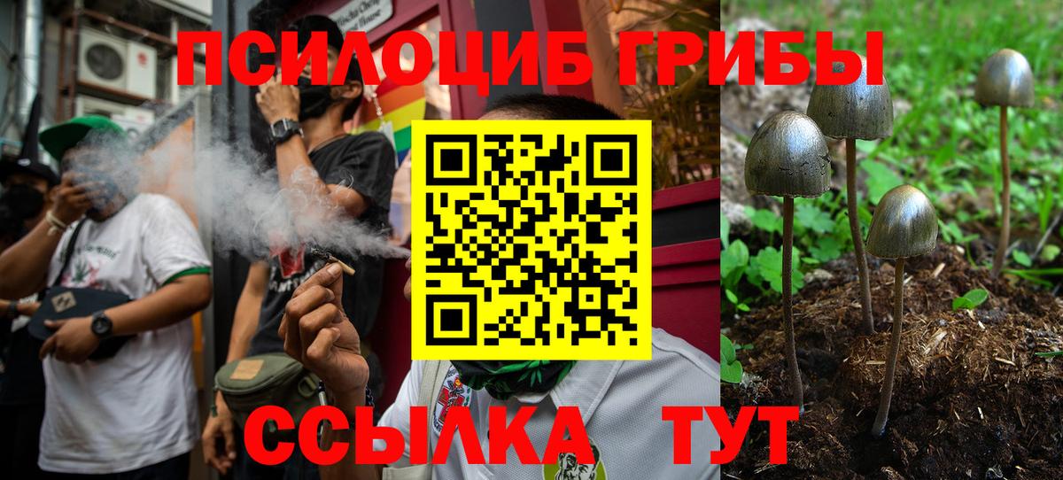 Псилоцибиновые грибы Cubensis Воронеж