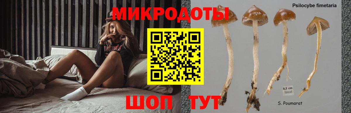 Галлюциногенные грибы MAGIC MUSHROOMS  Вход с VPN  Воронеж 